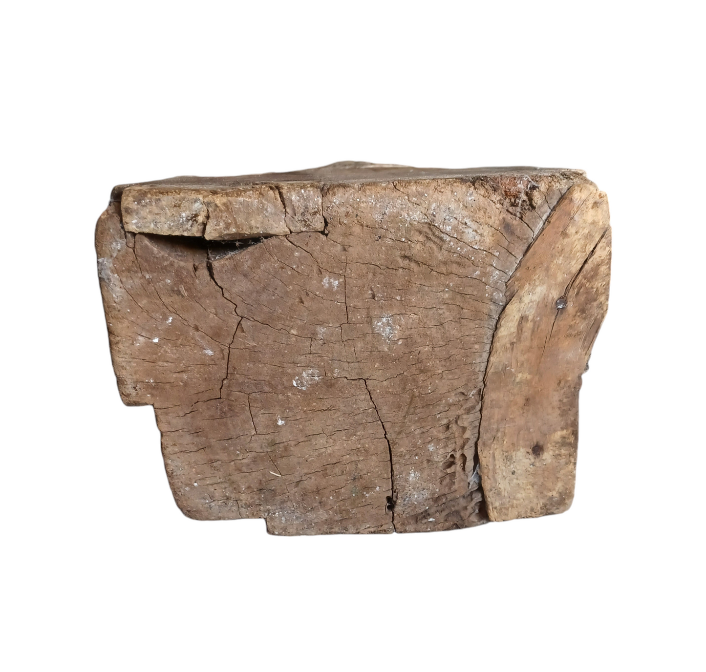 Statua Indiana Gujarati in legno XX secolo