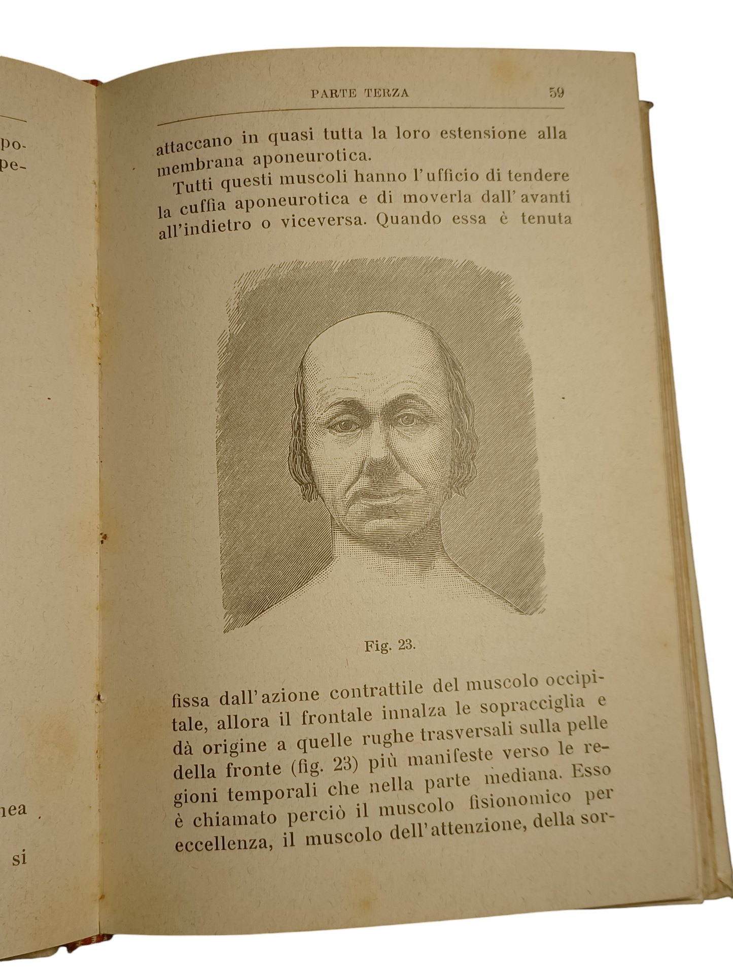 "Anatomia Pittorica" di Ulrico Hoepli