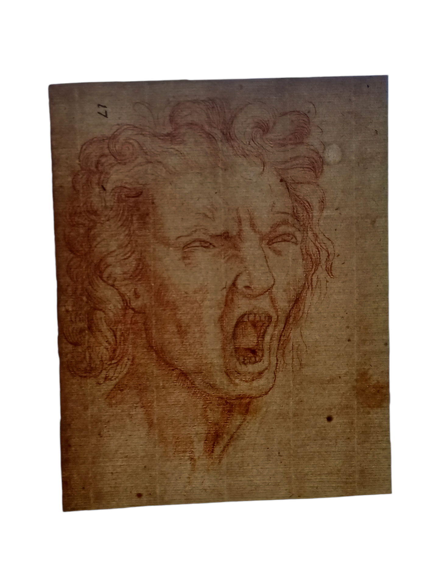 Disegno Su Carta Vergata, XVIII Secolo